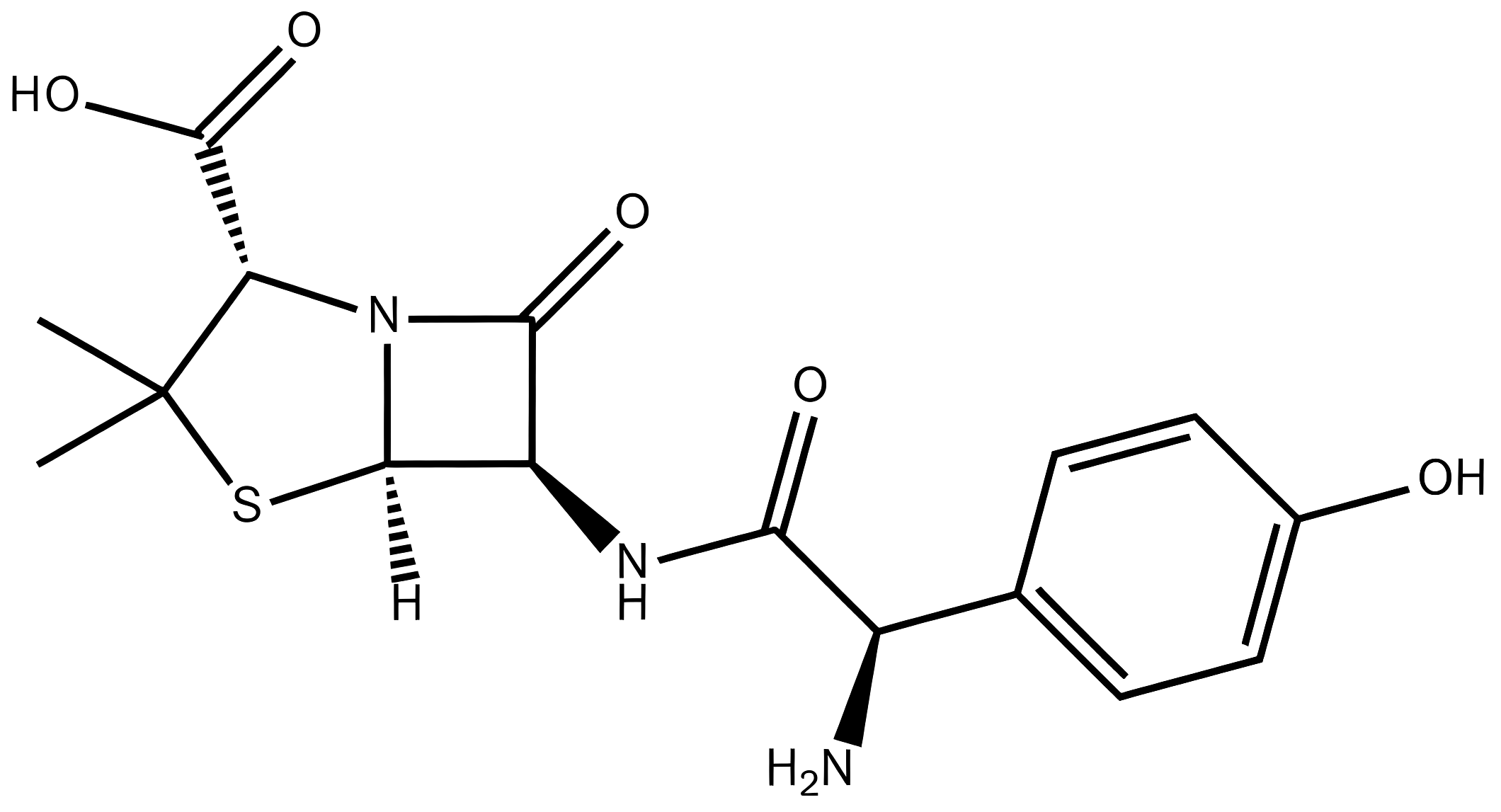 Amoxicillin structure