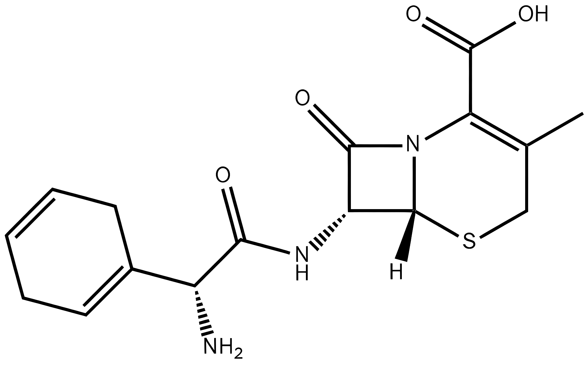 Cefradine structure